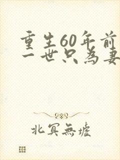 重生60年前这一世只为妻儿免费看全集