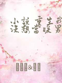 小说 重生我真没想当暖男