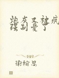 炮灰又被疯批 强制爱了