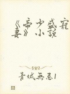 《帝少盛宠呆萌妻》小说