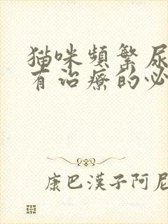 猫咪频繁尿闭还有治疗的必要吗