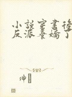 小说穿书后我把反派养娇了