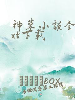 神墓小说全本txt下载