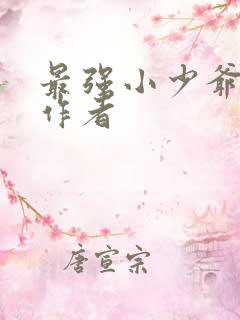 最强小少爷原著作者
