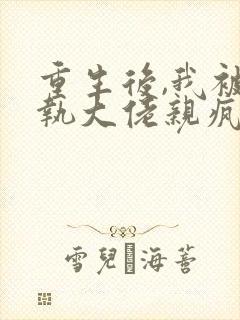 重生后,我被偏执大佬亲疯了