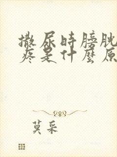 撒尿时膀胱有点疼是什么原因