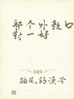 哪个外教口语一对一好