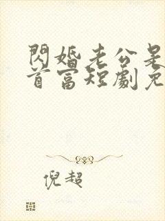 闪婚老公是千亿首富短剧免费下载