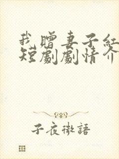 我赠妻子红缨枪短剧剧情介绍