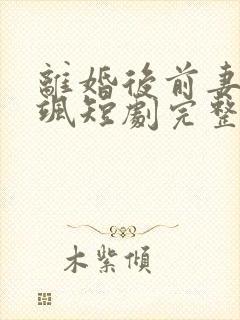 离婚后前妻美又飒短剧完整版