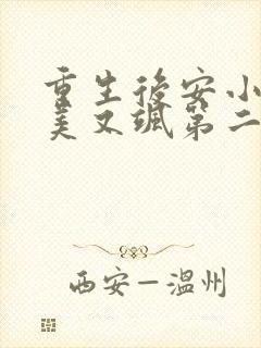 重生后安小姐又美又飒第二季