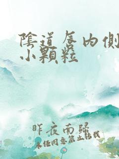 阴道唇内侧长了小颗粒