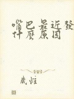 嘴巴最近发苦是什么原因