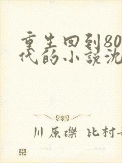 重生回到80年代的小说沈林