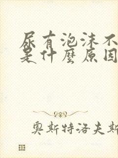 尿有泡沫不消失是什么原因