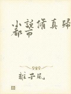 小说修真归来在都市