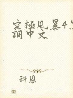 究极风暴4怎么调中文