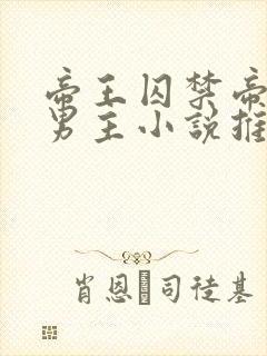 帝王囚禁帝师双男主小说推荐