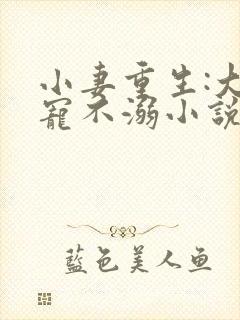 小妻重生:大佬宠不溺小说