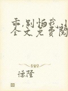 乖,别怕我小说全文免费阅读无弹窗