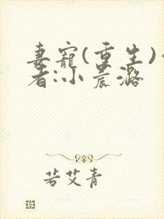 妻宠(重生)作者:小晨潞