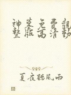 神墓免费观看完整版高清动漫在线