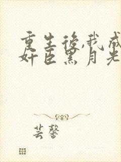 重生后,我成了奸臣黑月光连载