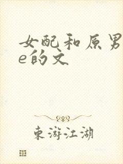 女配和原男主he的文