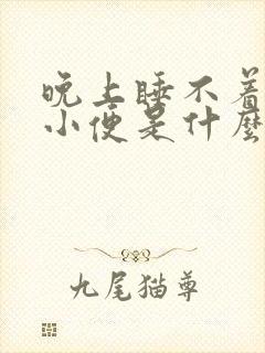 晚上睡不着总想小便是什么原因