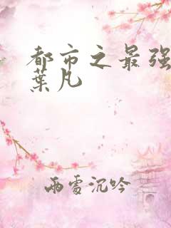 都市之最强狂兵叶凡