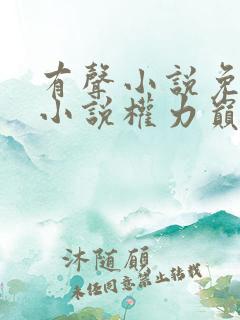 有声小说免费听小说权力巅峰