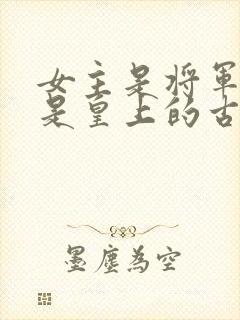 女主是将军男主是皇上的古言