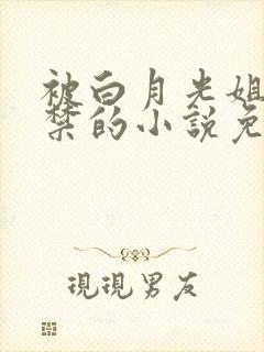 被白月光姐姐囚禁的小说免费阅读