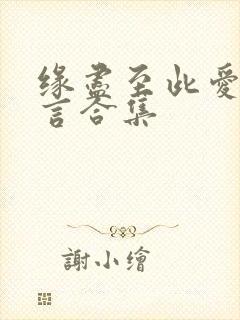 缘尽至此爱不再言合集