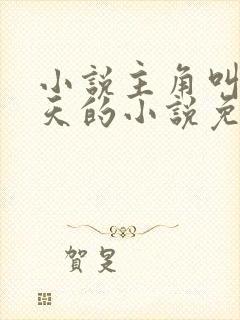 小说主角叫叶凌天的小说免费阅读