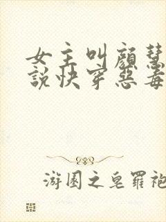 女主叫颜慧的小说快穿恶毒女配