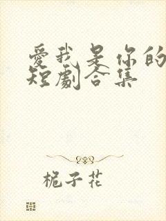 爱我是你的谎言短剧合集