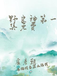 野良神第一季全集免费