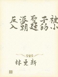 反派圣子被废加入朝廷的小说免费阅