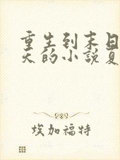 重生到末日前十天的小说夏范