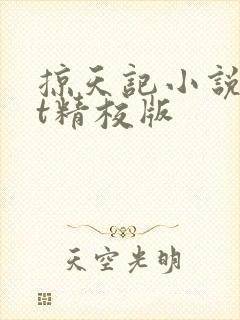 掠天记小说txt精校版