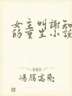 女主叫谢知楚淮的重生小说