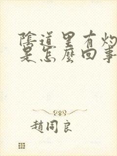 阴道里有灼痛感是怎么回事