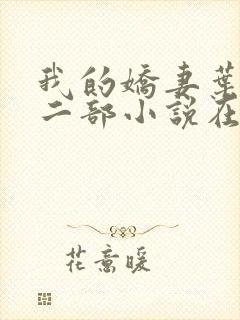 我的娇妻叶晨第二部小说在线阅读