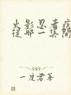 火影忍者疾风传从哪一集开始