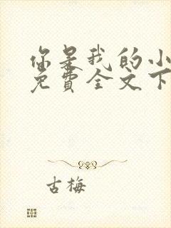 你是我的小确幸免费全文下载