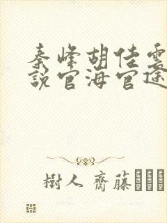 秦峰胡佳云的小说官海官途