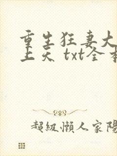 重生狂妻大佬宠上天 txt全本