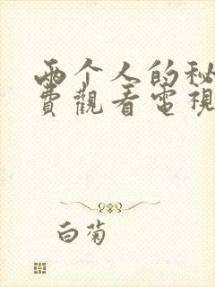 两个人的秘密免费观看电视剧完整版