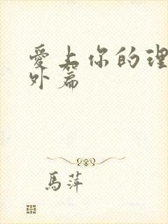 爱上你的理由番外篇